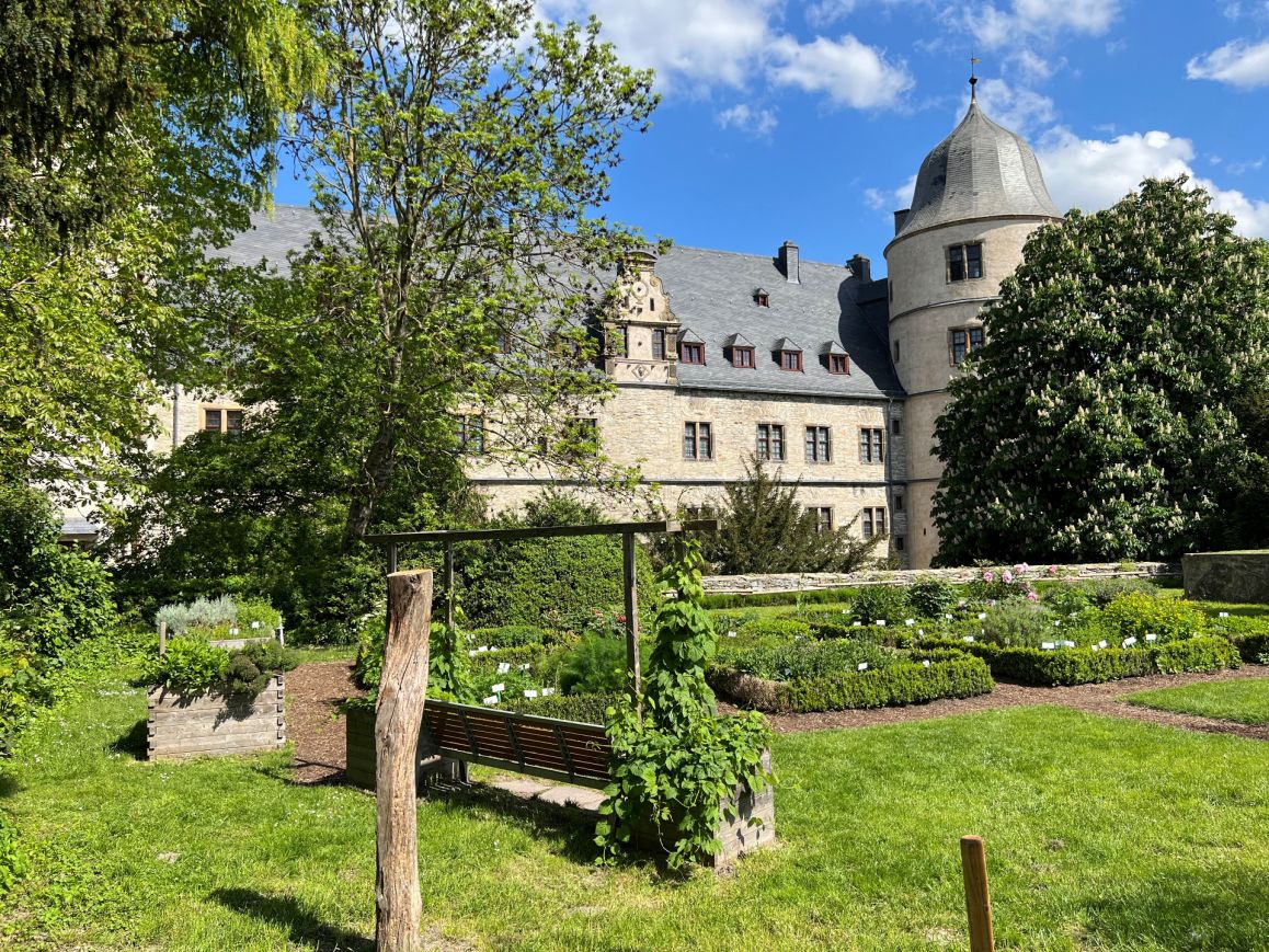 2023-05-19_Ivonne Schreiber_3